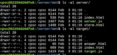 image-20240210033553234