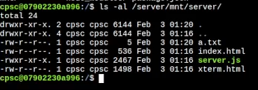 image-20240210035450884